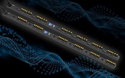 66677e4874c1d40008e44ad3 830 350 66677e4874c1d40008e44ad3 830 350