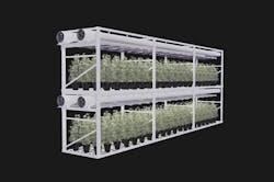 66677ed594f10f0008378b0a 830 350 66677ed594f10f0008378b0a 830 350