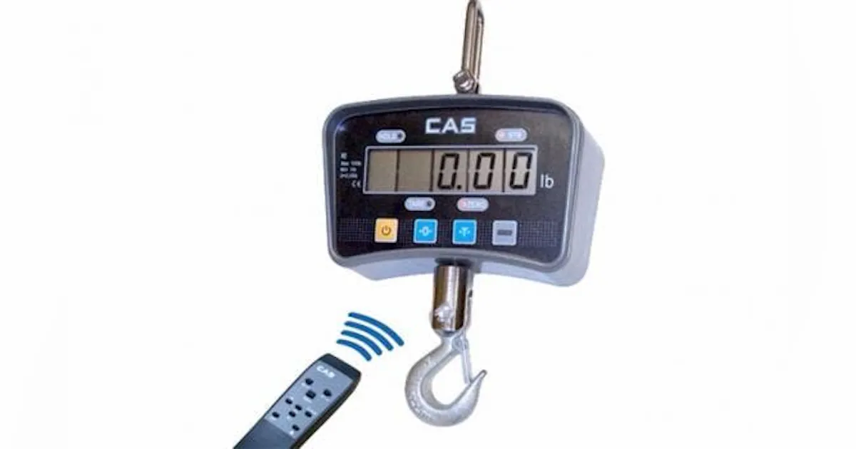 Dighest Scale Portable IE Series Crane Scale With Remote Control | New Equipment Digest