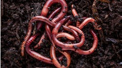 Fun Innovations Friday: GE's Robot Worm Could Change Aircraft Maintenance Fun Innovations Friday: GE's Robot Worm Could Change Aircraft Maintenance