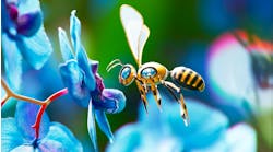 A 3D-rendering of an automated robot bee pollinating a blue orchid. A 3D-rendering of an automated robot bee pollinating a blue orchid.