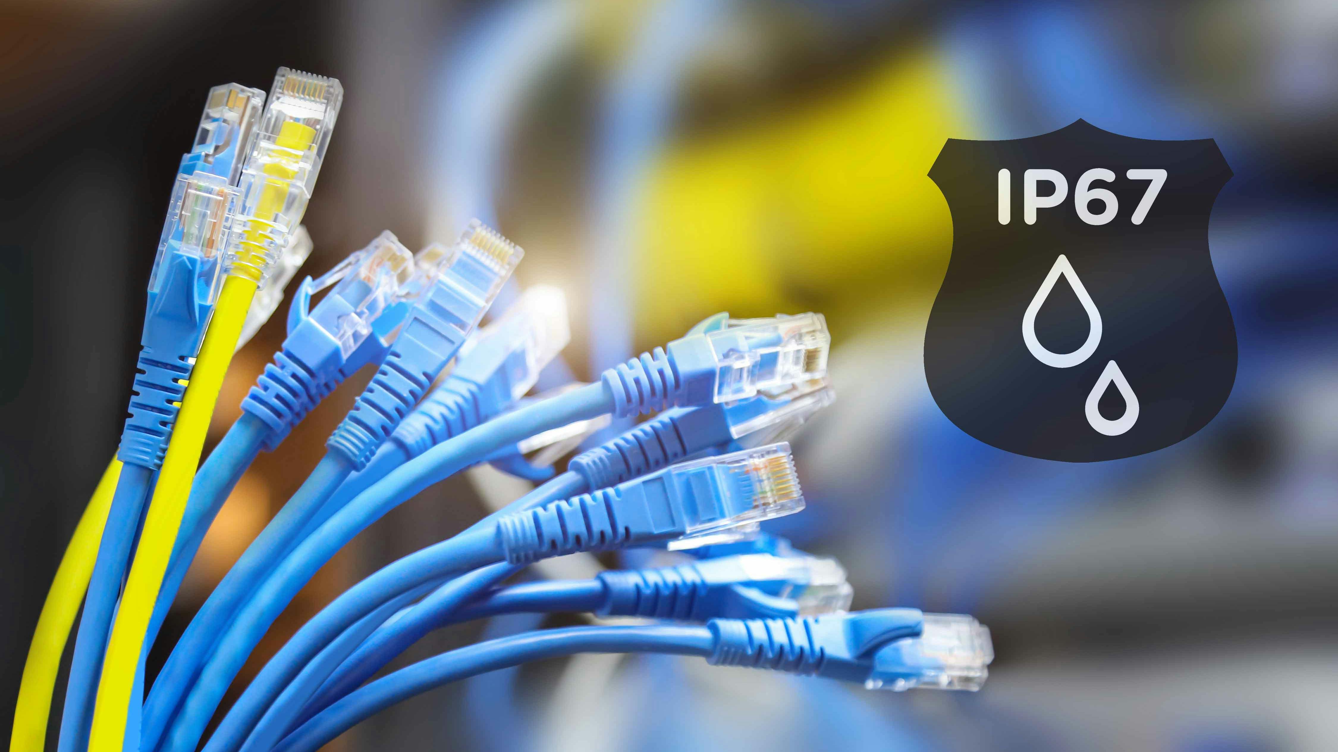 Blue and yellow RJ45 cables in a bundle against an abstract background with a black, flat IP67 rating sticker.