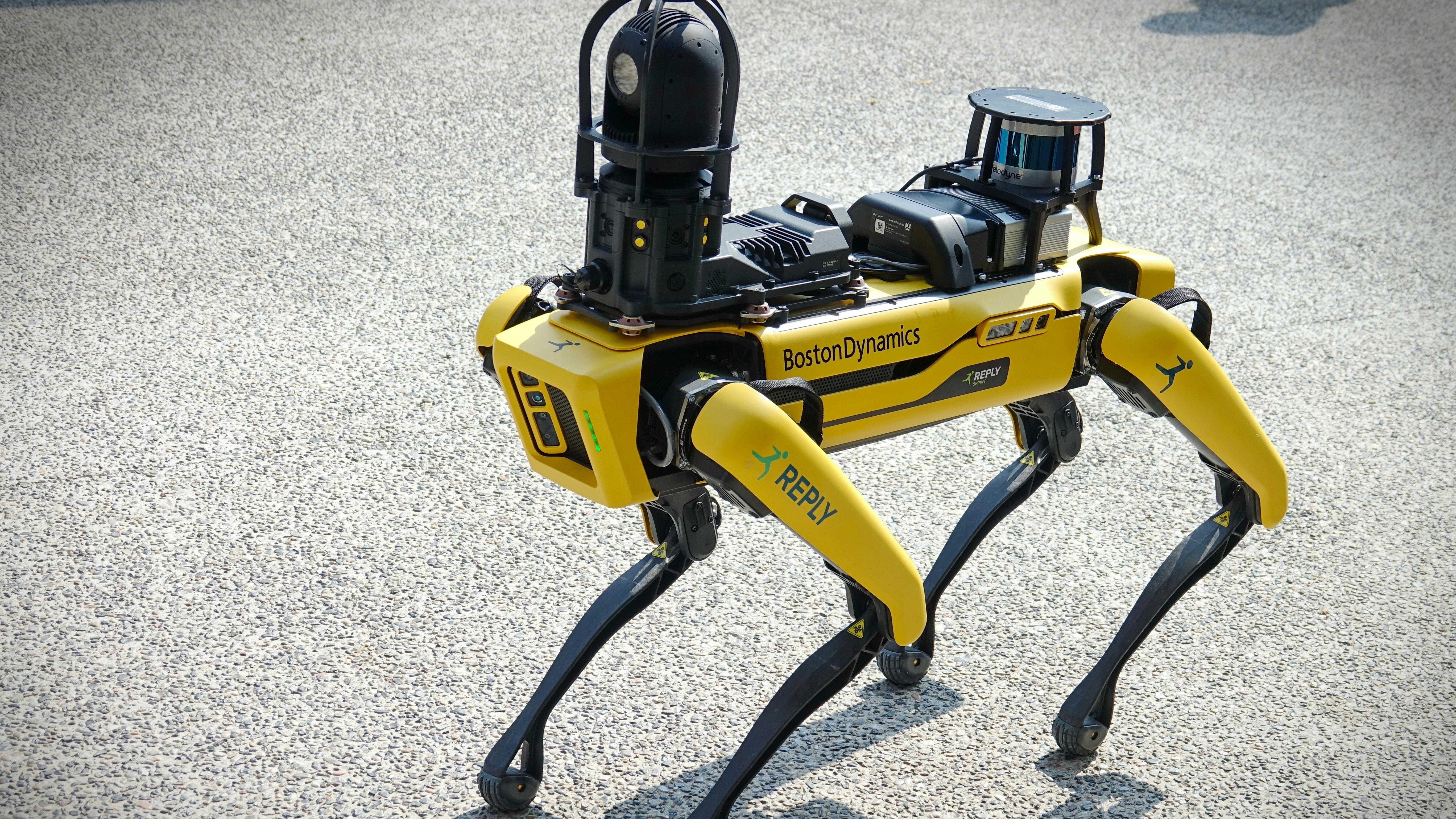 Boston Dynamics yellow robot dog, suitable for industrial detection and remote operation. Mini robot guard Spot. Turin, Italy - September 2021