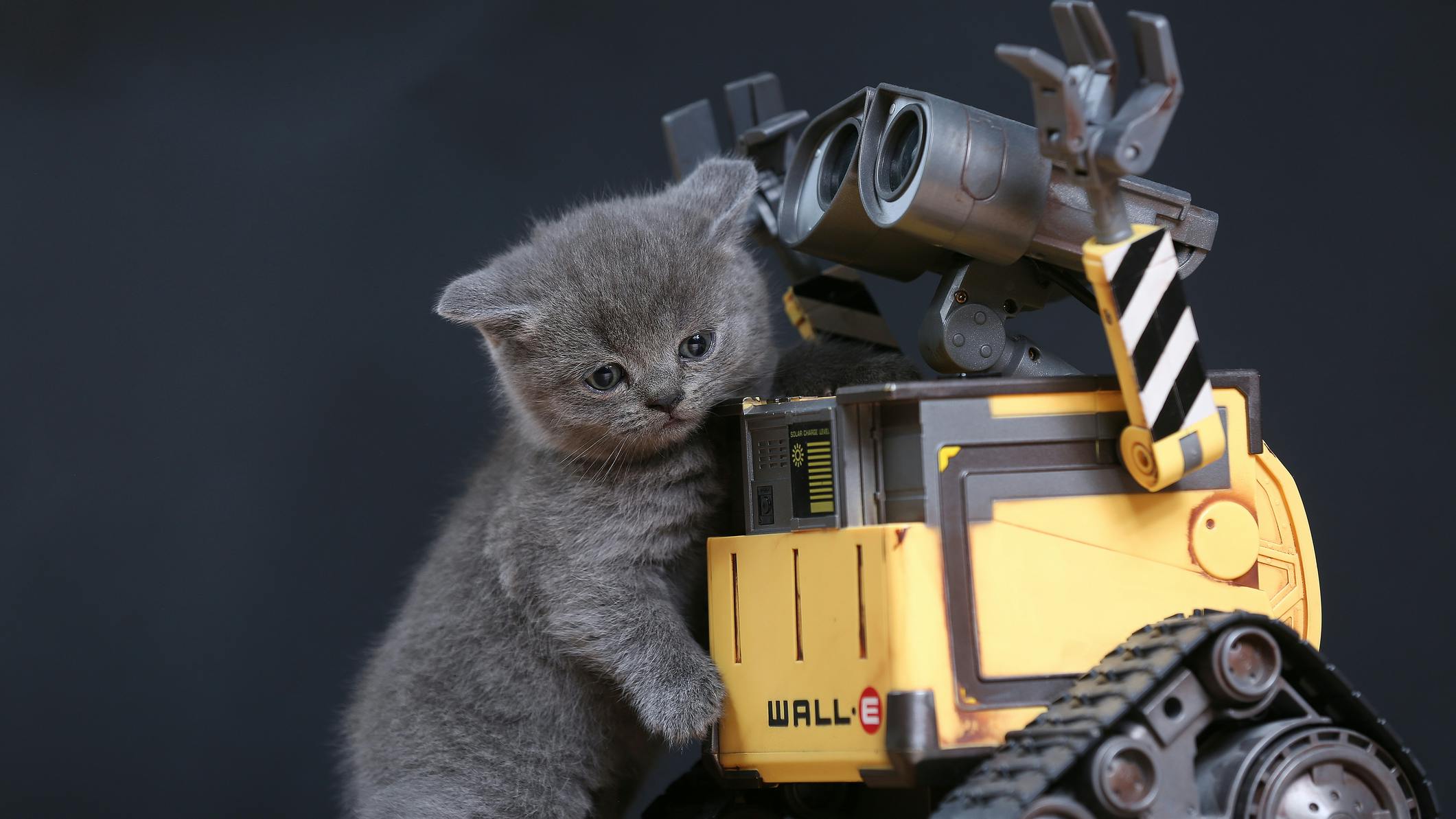 Meet Disney's Real-Life Wall-E: An Autonomous Robot That Learns Social Cues