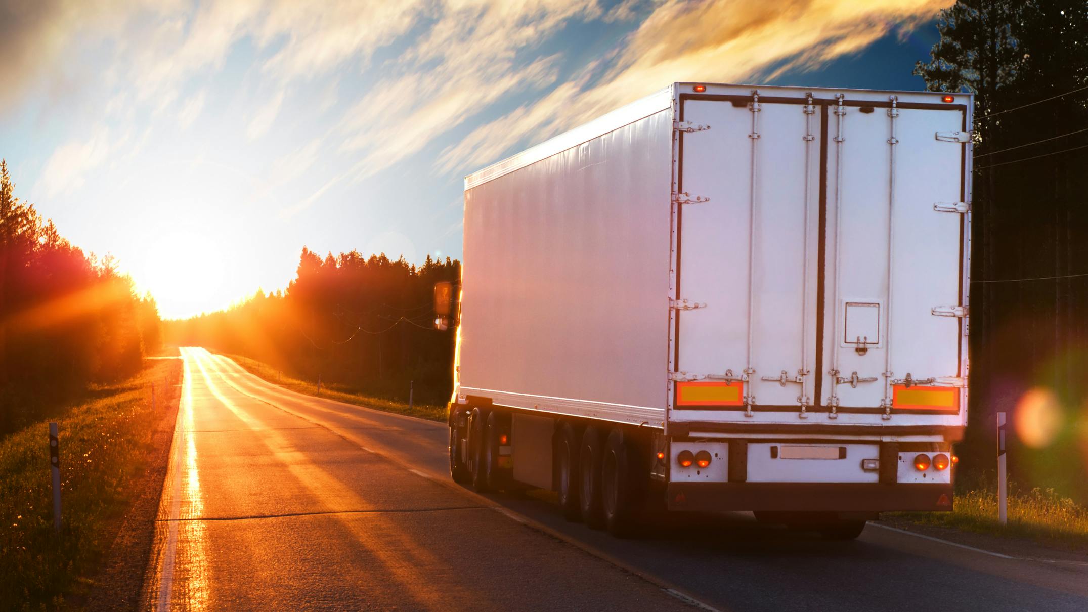 6806b3bb53502fb09ca105be Dreamstime M 15902561