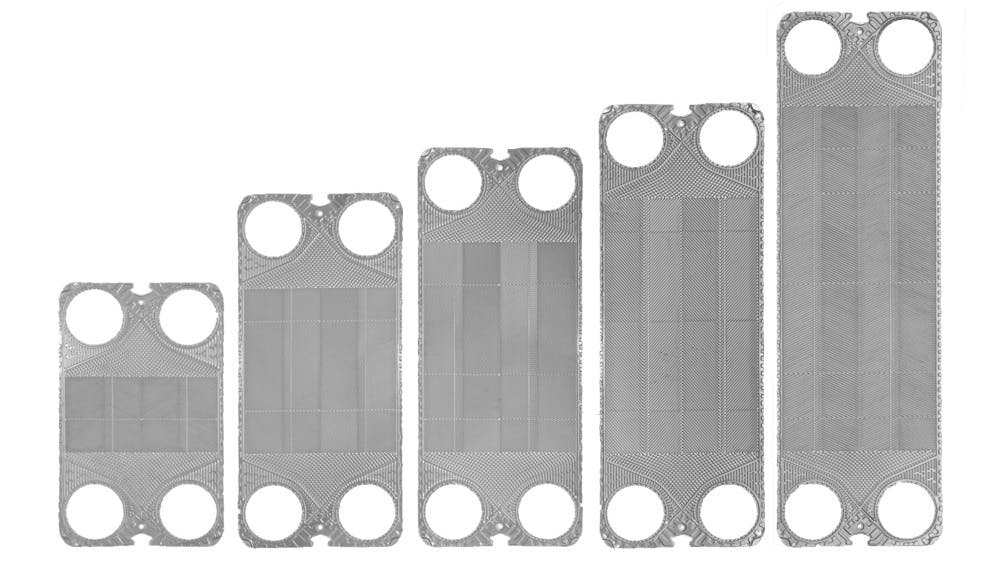 apvphecapellaplatefamily