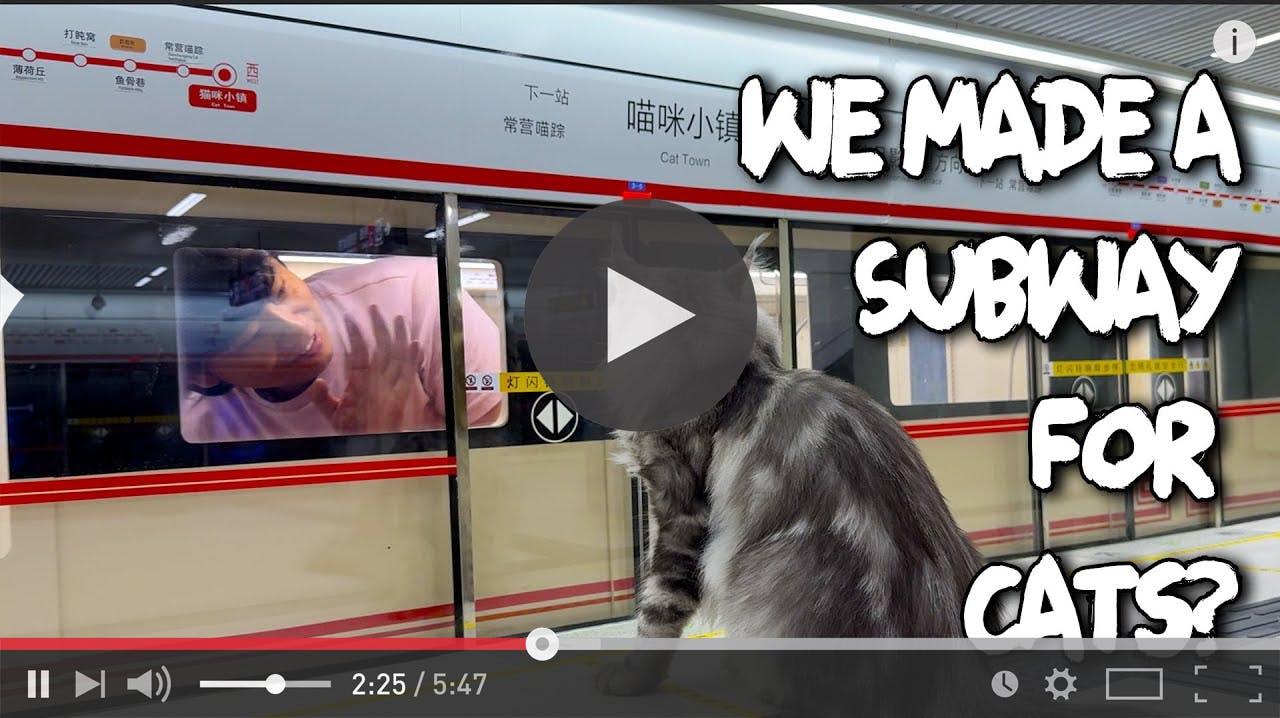 Engineering Unplugged: Watch Inventors at Play