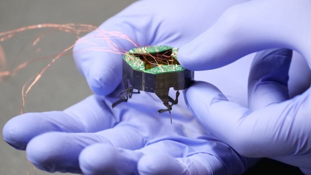 Shapeshifting, Squishable Robots Inspired by Insects Could One Day Crawl Over Airplanes and Through Pipes