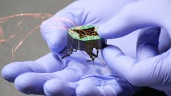 Shapeshifting, Squishable Robots Inspired by Insects Could One Day Crawl Over Airplanes and Through Pipes Shapeshifting, Squishable Robots Inspired by Insects Could One Day Crawl Over Airplanes and Through Pipes