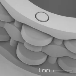 3D-printed roller bearing 3D-printed roller bearing