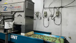 Multiscan MXV-Bulk X-ray System Reveals Hidden Nut Defects