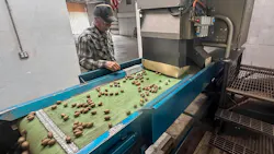 From 6 Sorters to 1: Inside a Pecan Line's X-Ray Upgrade